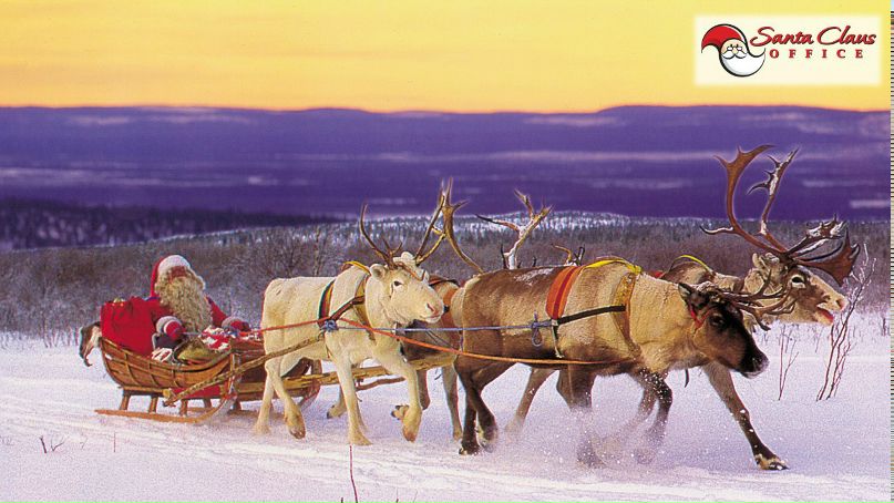 Алексей Смирнов | Санкт-Петербург
