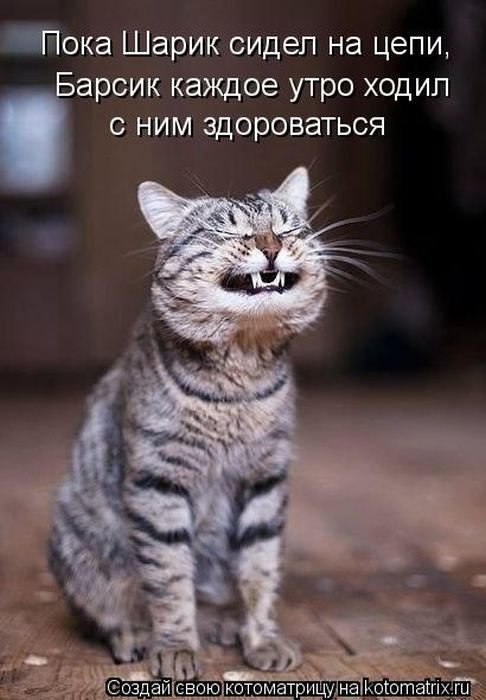 Антон Романов TibetMakak | Дубна