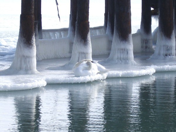 Юлия Билан AnGel | Евпатория
