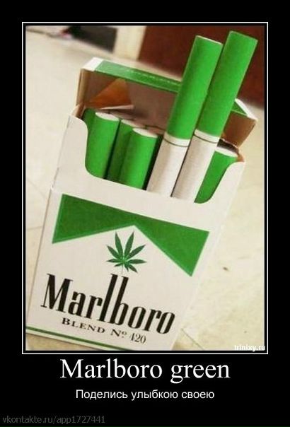 Константин Каневский фото профиля #2