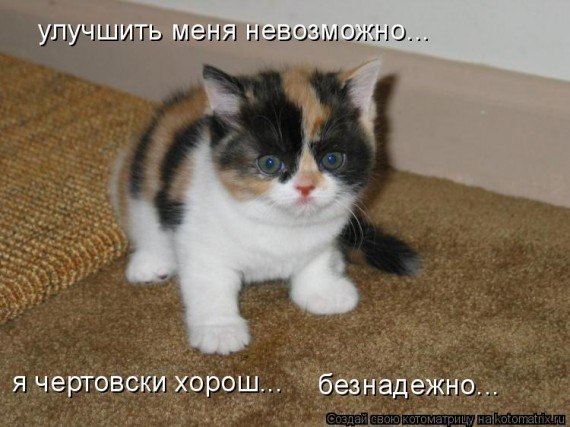 Максим Чинёнов | Челябинск