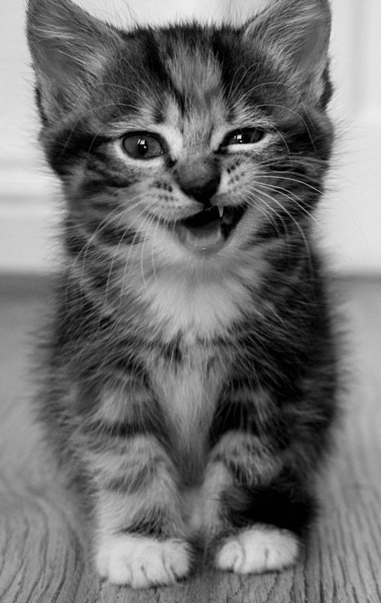 Владимир Фотеев WALDER KORP | Дзержинский