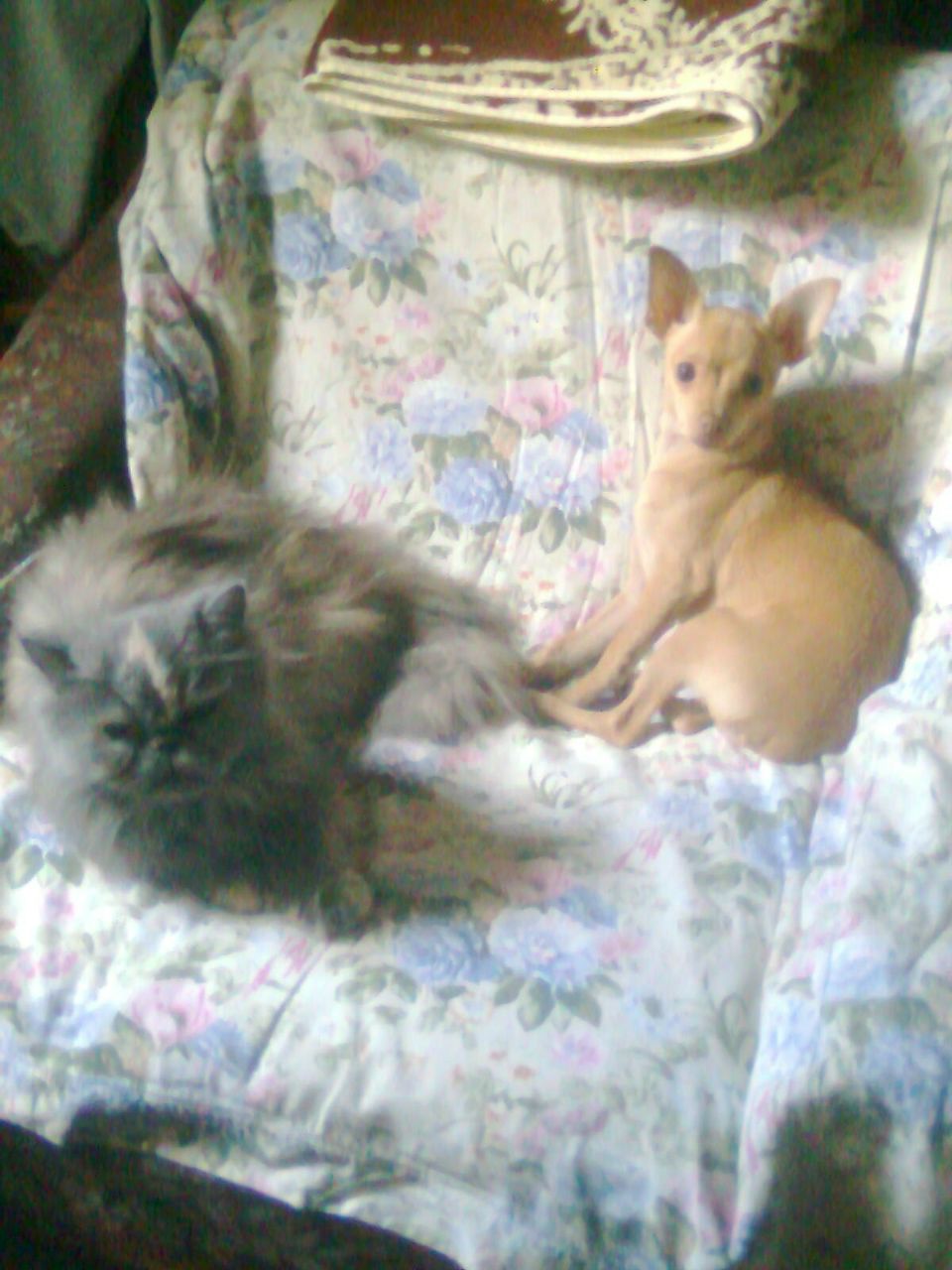 Артем Уженцев | Ростов-на-Дону