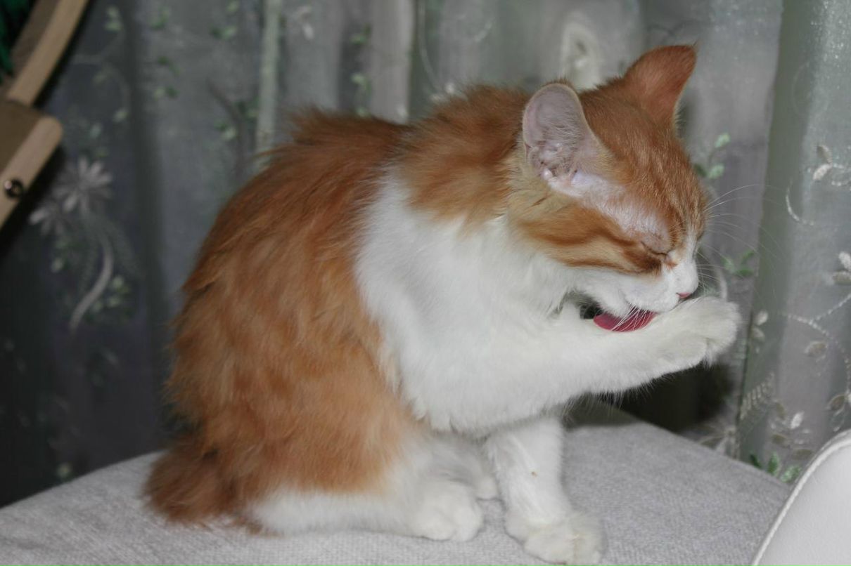 Алексей Бригаднов | Казань