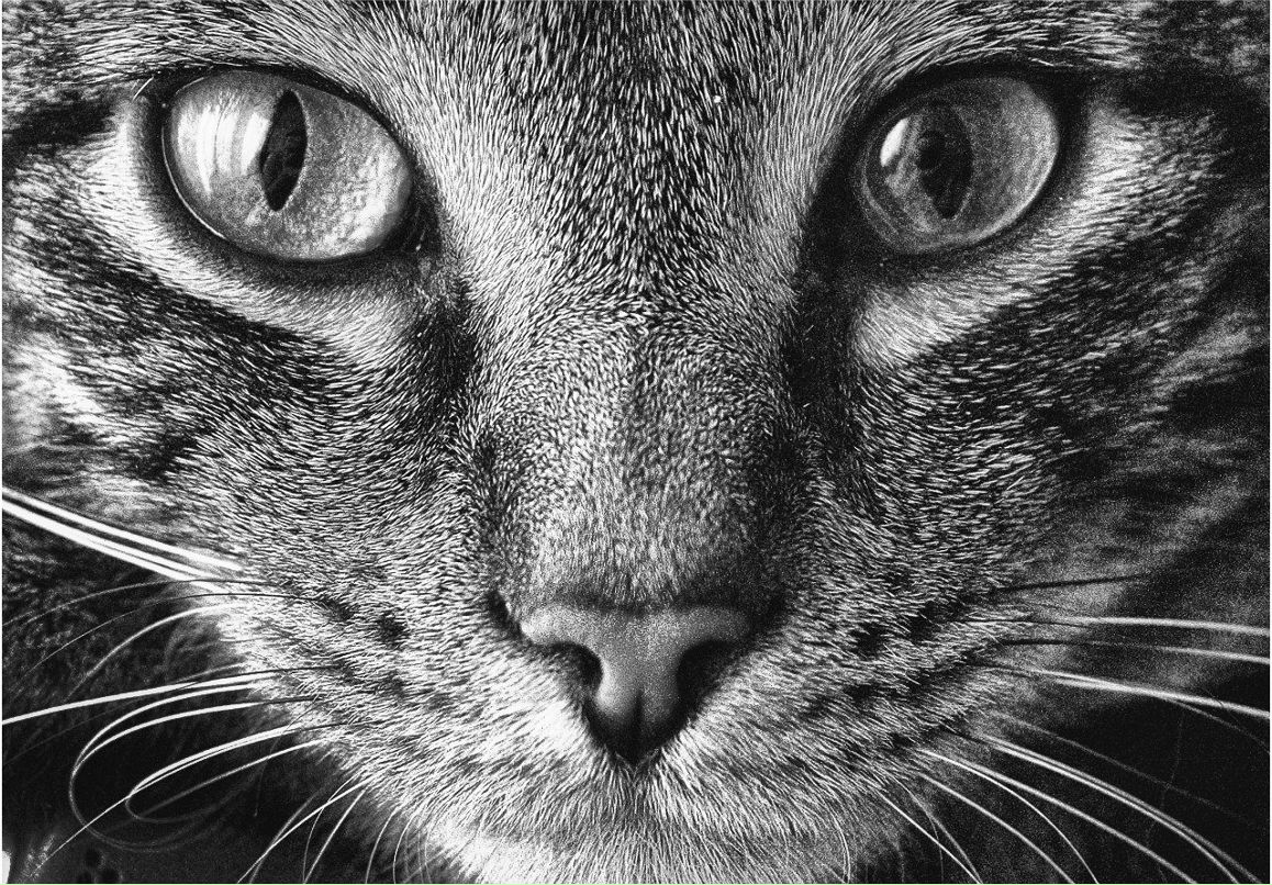 Владимир Николаев | Москва