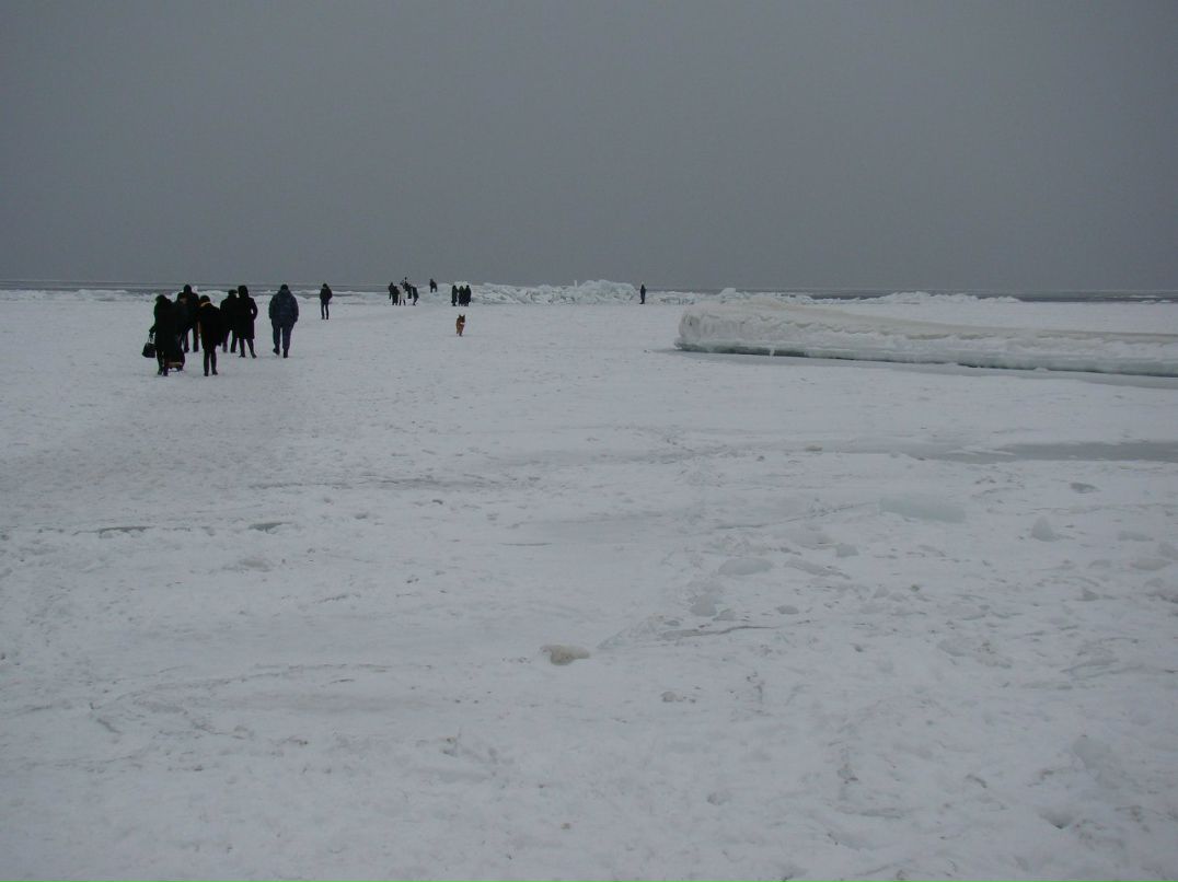 Ирина Сандул | Одесса