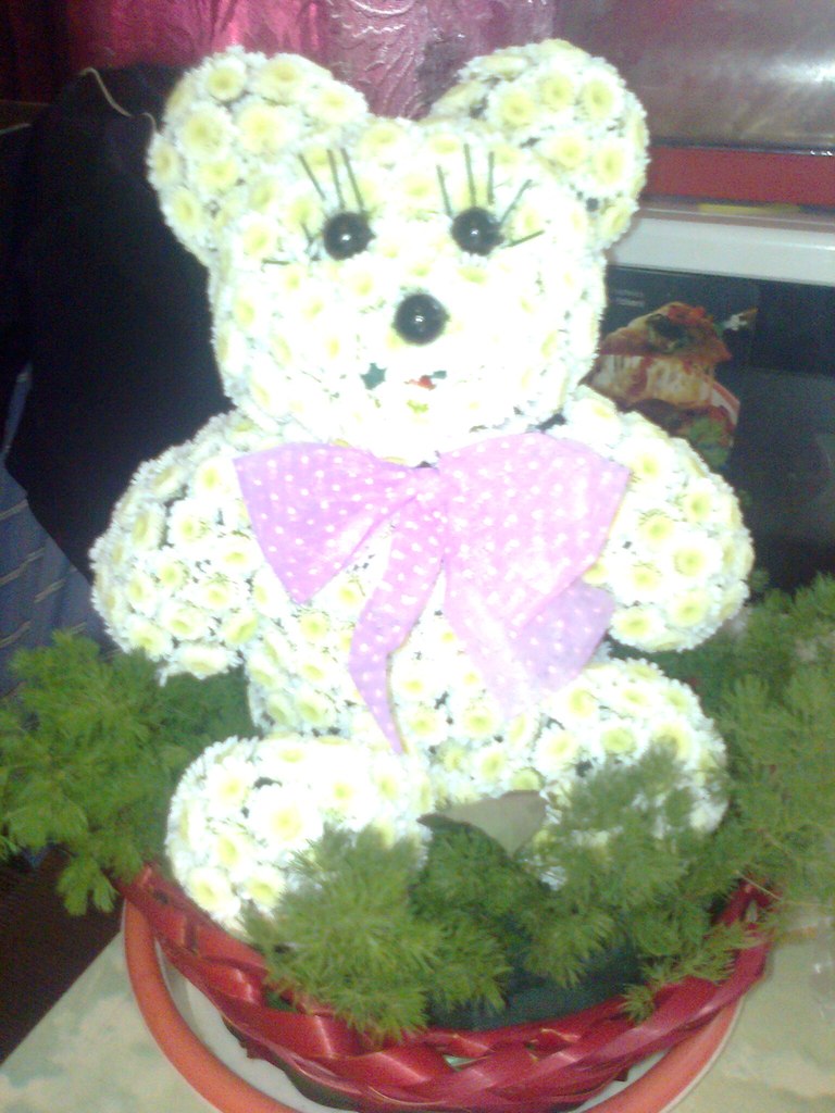 Юлия Александрова | Власиха