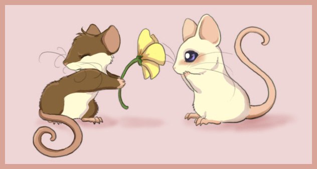 Артем Деревянко WolF | Киев