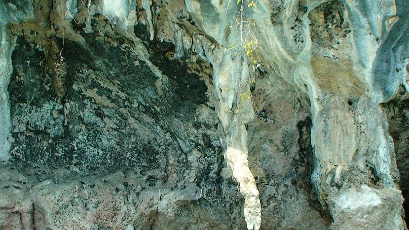 Саша Чиркова | Екатеринбург