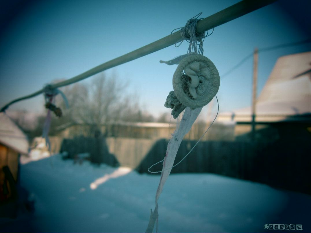 Максим Бронников | Ижевск