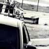 Аватар: Охраняемая Братьями