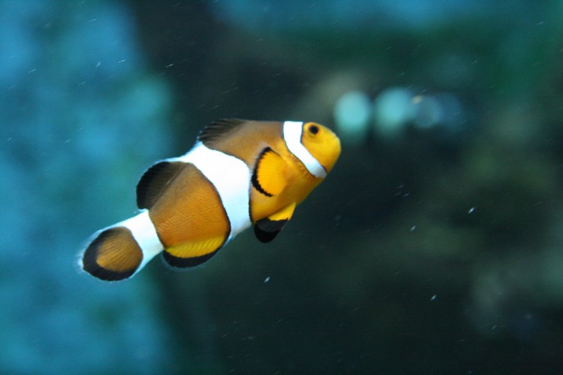 Маша Истомина | Москва