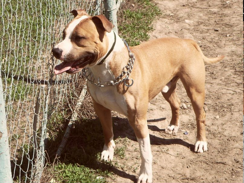 Elina Bragina | Москва