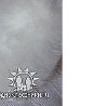 №151, Света Маленко, Мрин №151, Света Маленко, Мрин