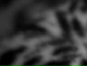 Таня Шалюта Tasha | Кропивницкий / Кировоград