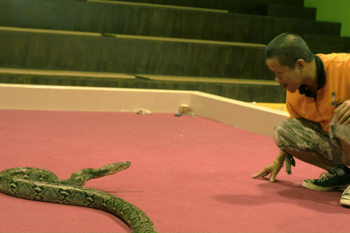 Мария Хандак | Москва