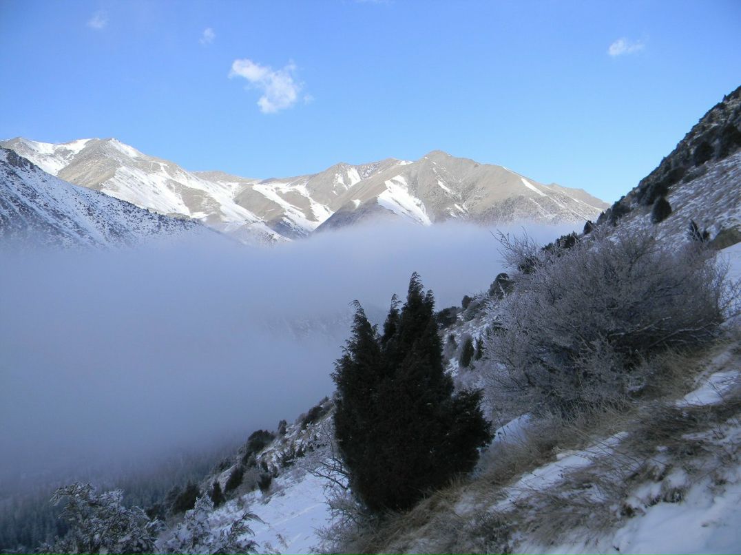 Паша Цветов | 