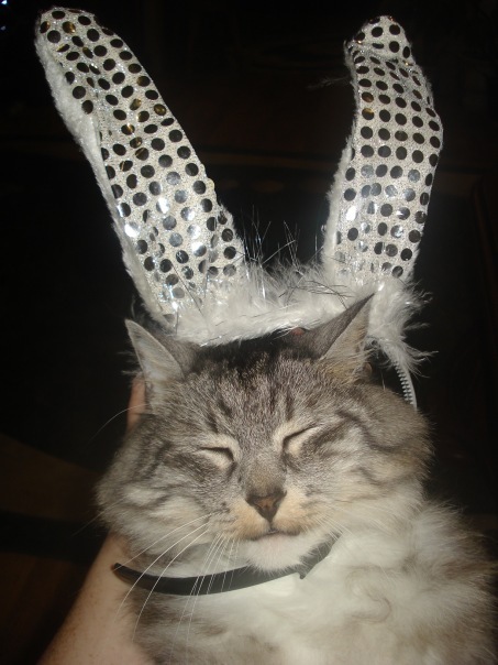 №51, Олег Войтинський, 34 года, Львов №51, Олег Войтинський, 34 года, Львов