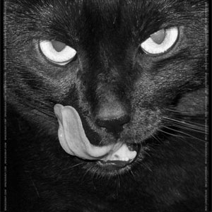 №51, Artem Markarov, 33 года, Тбилиси №51, Artem Markarov, 33 года, Тбилиси