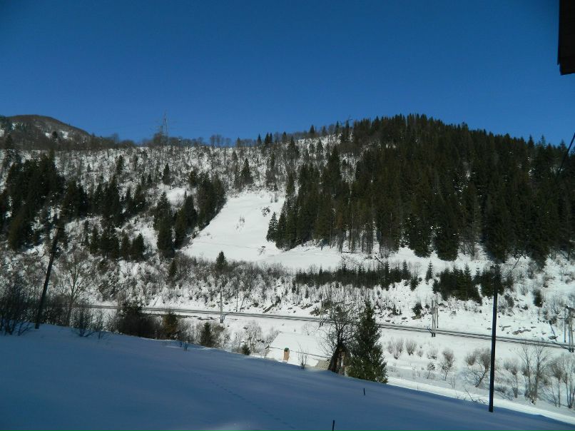 Роман Плахтина | Львов