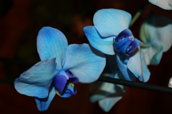 №119, Юлия Титова, Мурманск №119, Юлия Титова, Мурманск