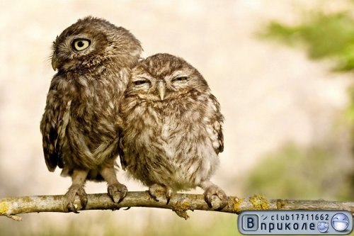 Леша Черняков | Киев