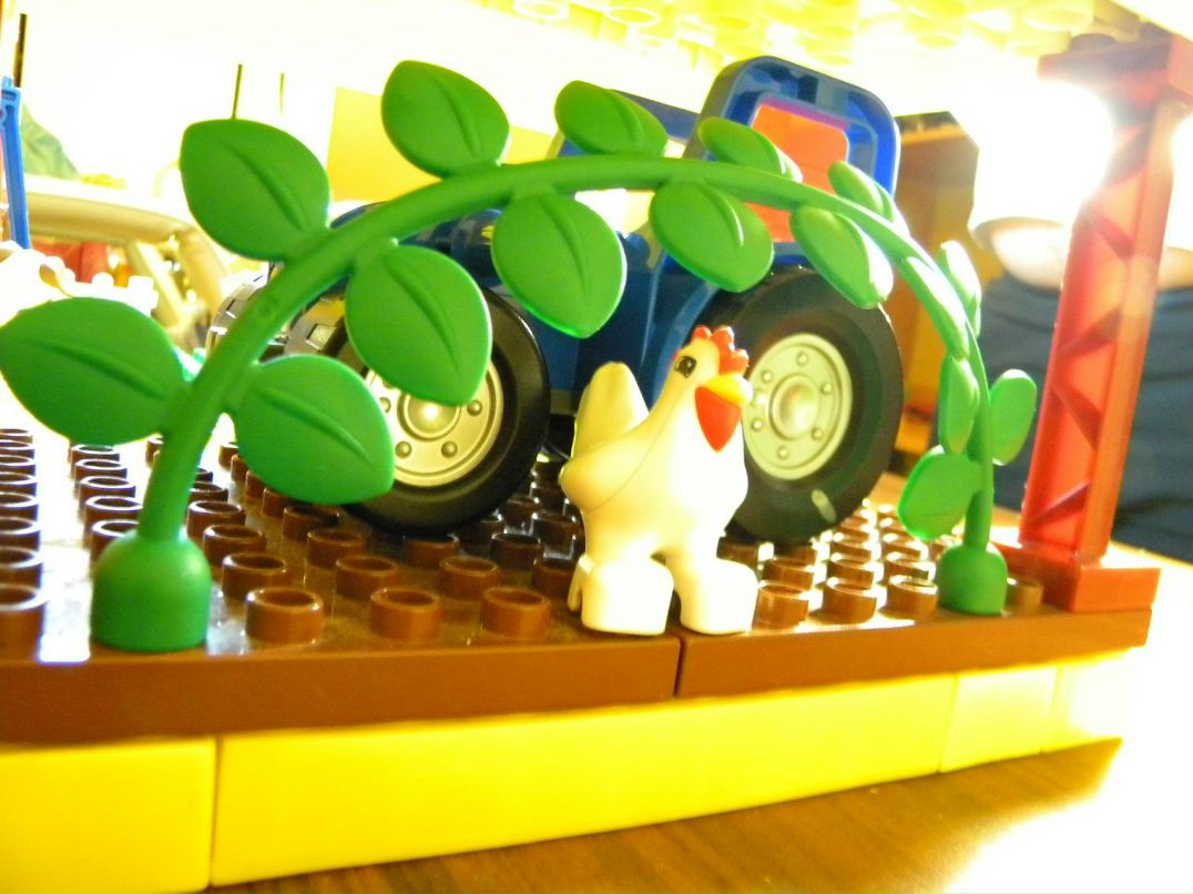 Иван Квашнин | Санкт-Петербург