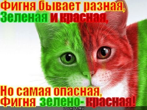 Ольга Макеева | Москва