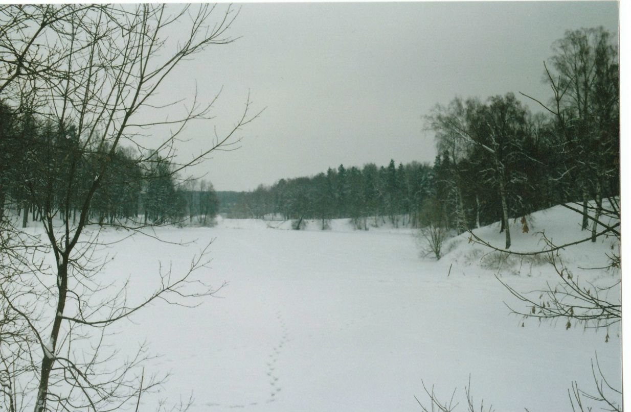 Антон Дронов | Москва