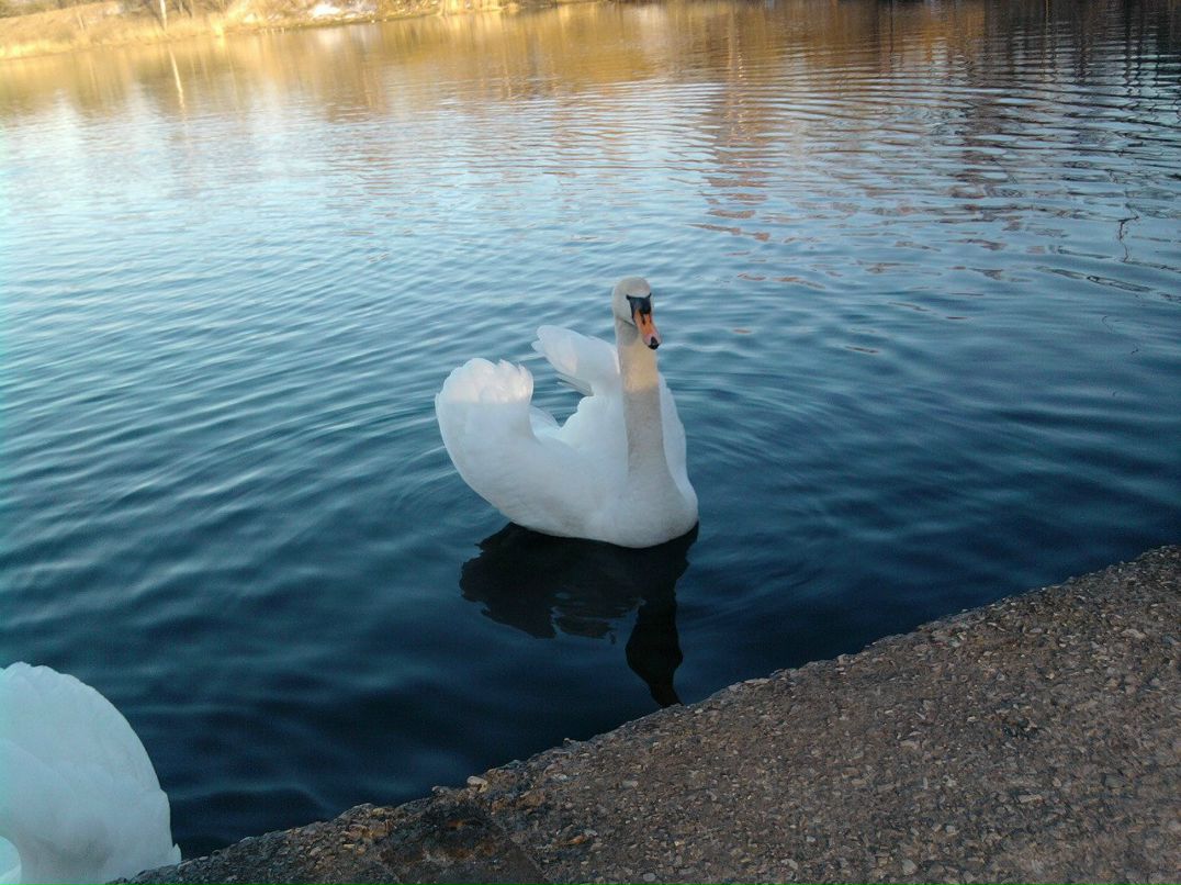 Валентина Власова | Рига