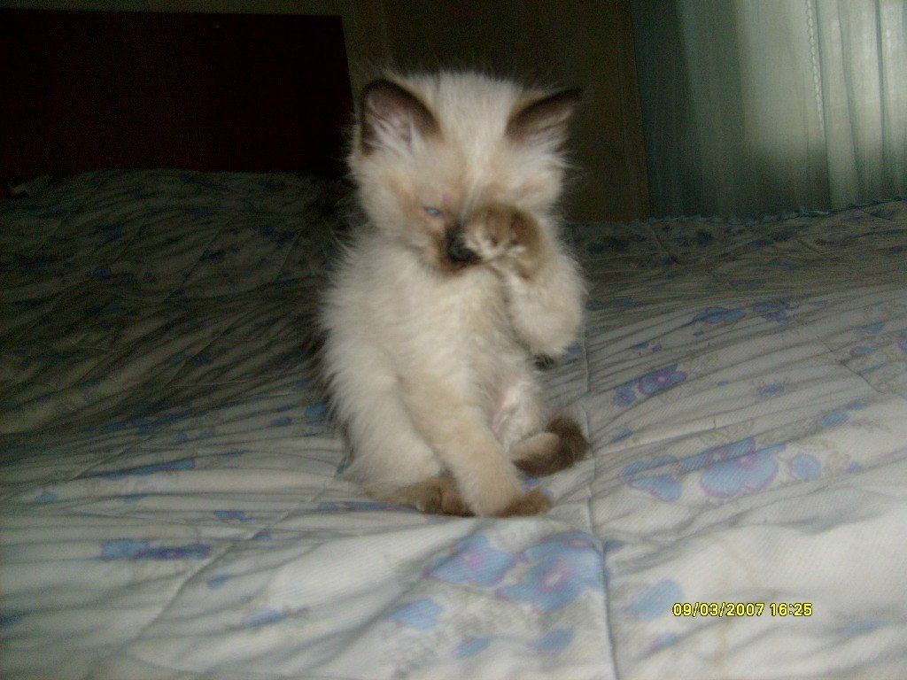 Надежда Сузи | Туймазы