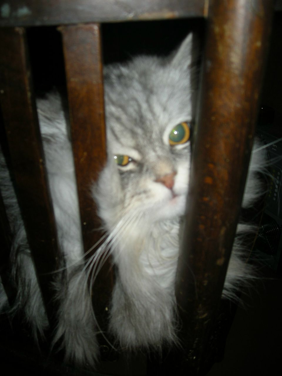 Сергей Плахотний | Кривой Рог