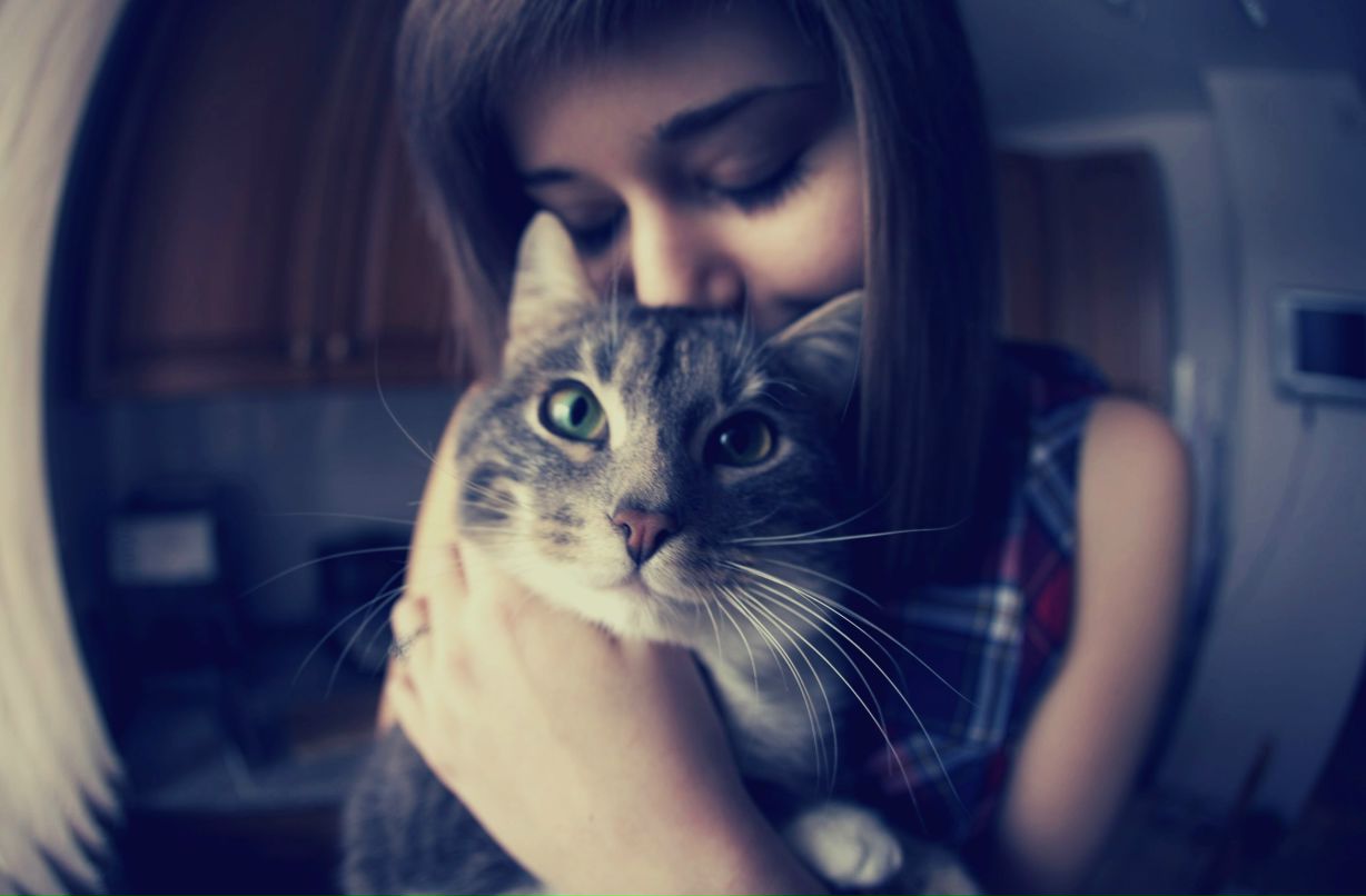 Юля Метелица | 