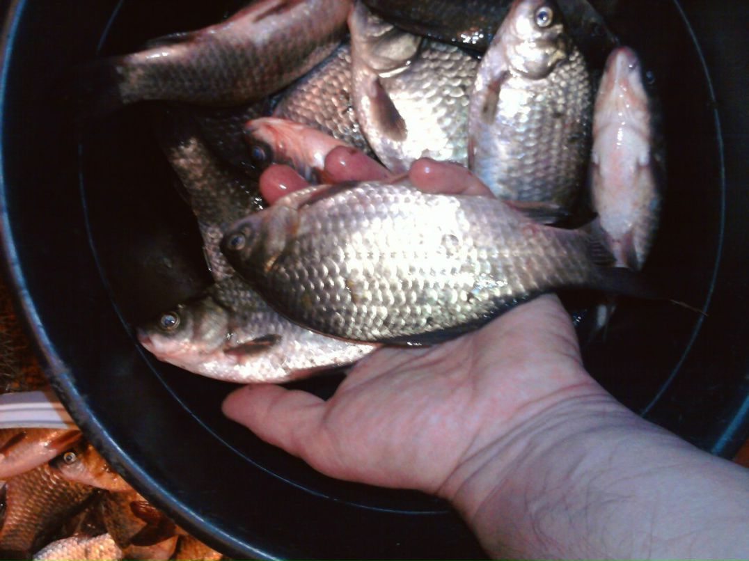 Олег Нагимов | Уфа