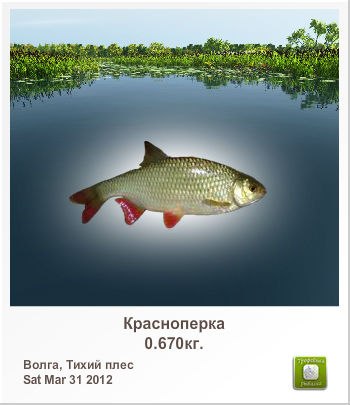 Мадест Полуэктов | Москва