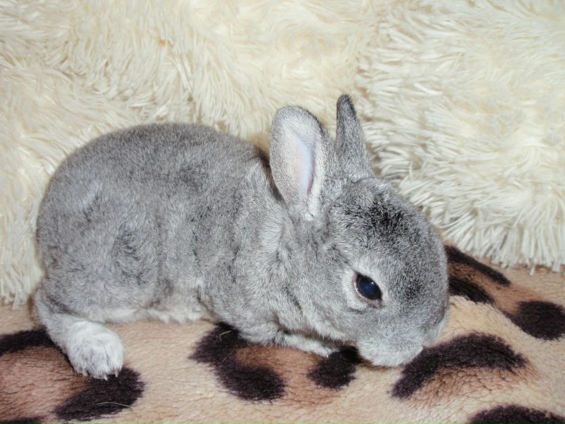 №111, Светка Демченко, Запорожье №111, Светка Демченко, Запорожье