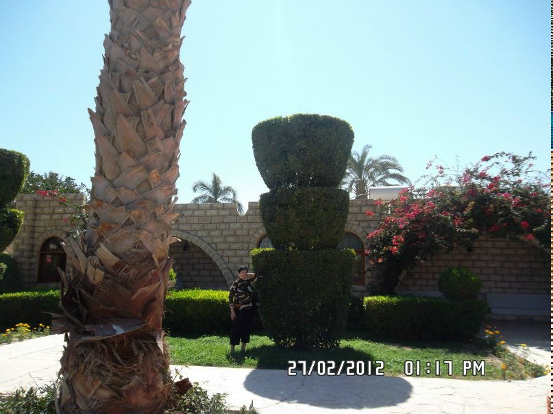 Marina Vlasova | Санкт-Петербург