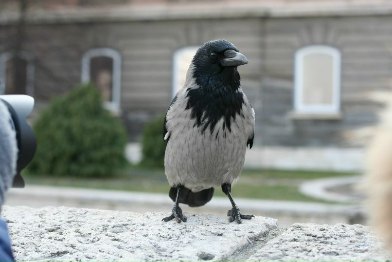 Артур ... | Москва