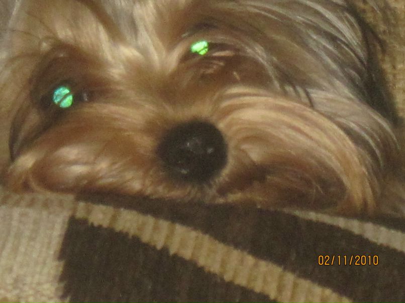 Николай Воронцов | Наро-Фоминск