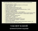 Фотография Дмитрий Скутин