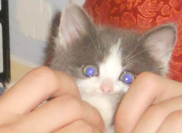 №93, Лейсан Галимуллина, Казань №93, Лейсан Галимуллина, Казань