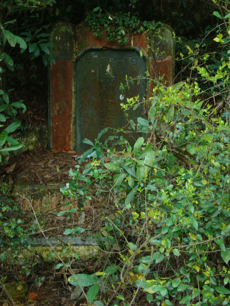 Дмитрий Кудряшов | 