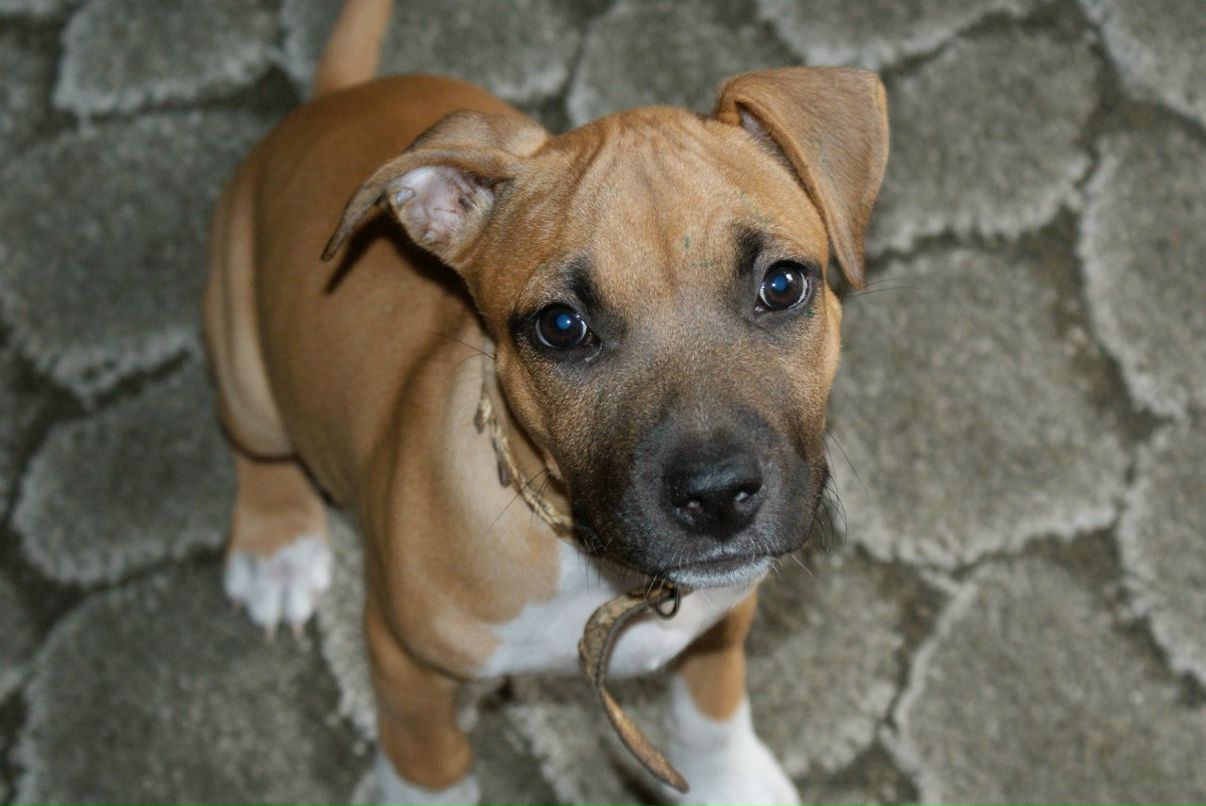 Emma Barton | Ростов-на-Дону