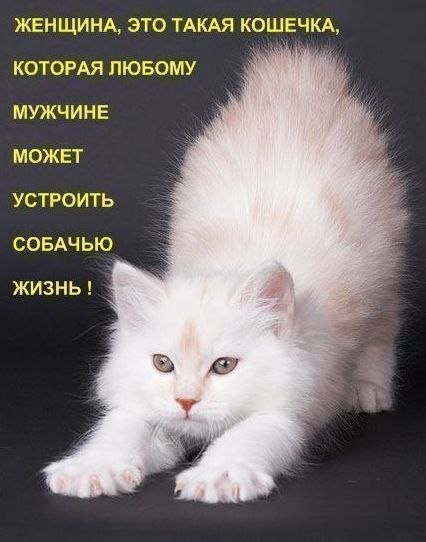 Анастасия Семелькина ki$$a | Казань