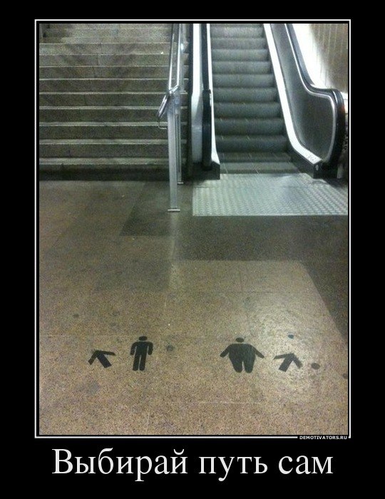 Дмитрий Иванов | 