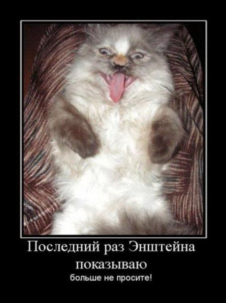 Дмитрий Поздеев | Можга