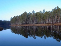 Ингу ягун. Ингу ягун. Набережная реки ингу-ягун. Когалым набережная ингу ягун. Река ингу ягун в когалыме.