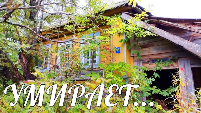 Старинная умирающая деревня в глуши Кировской области.