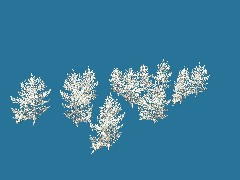di Forest Spline 005 zima