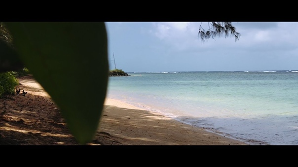 i Phone X 4 K Cinematic Video Footage (